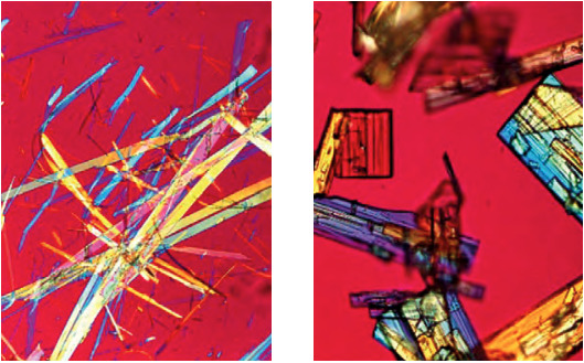 Crystal grown by sublimation under vacuum