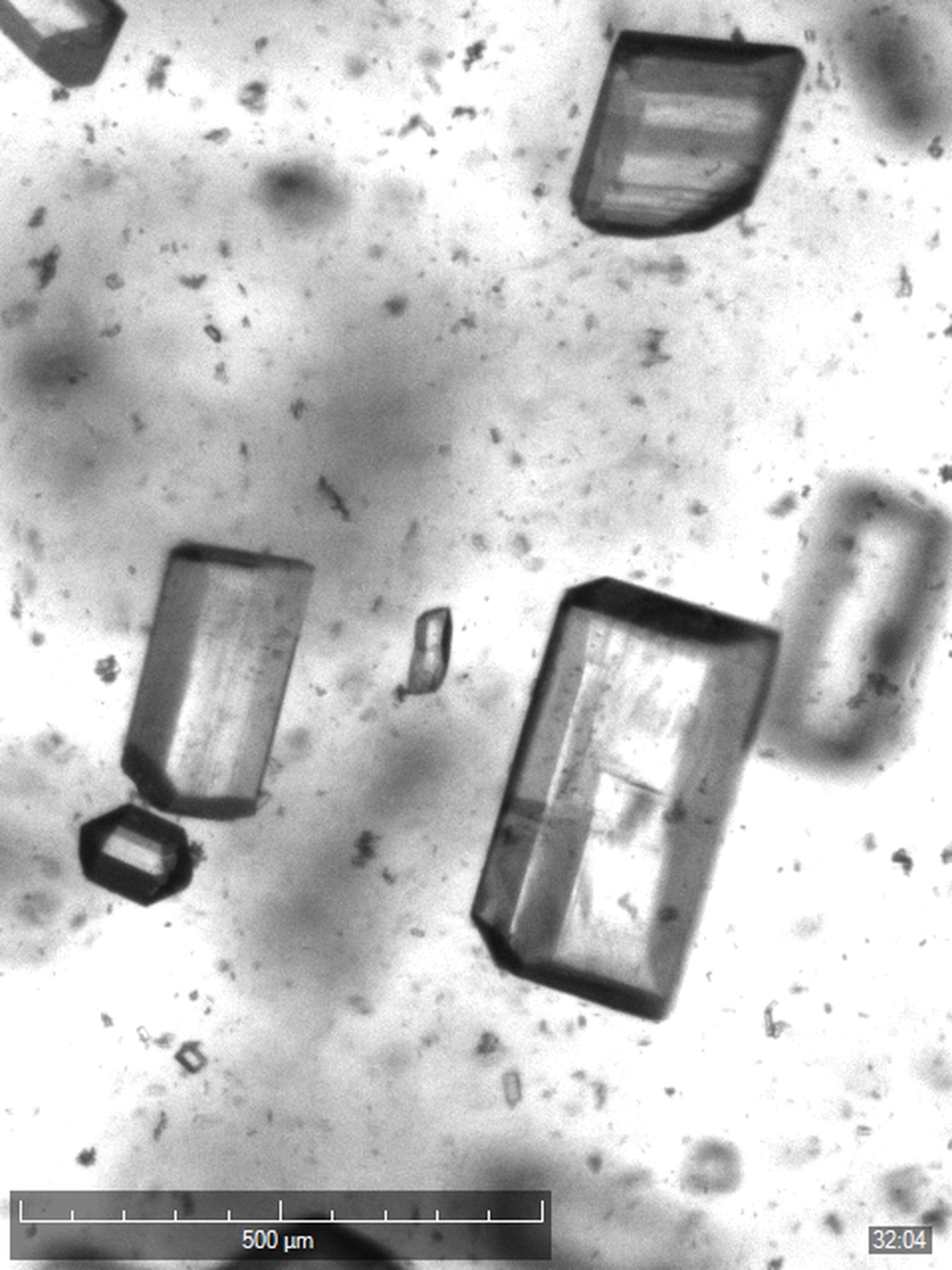 Nucleation within droplet