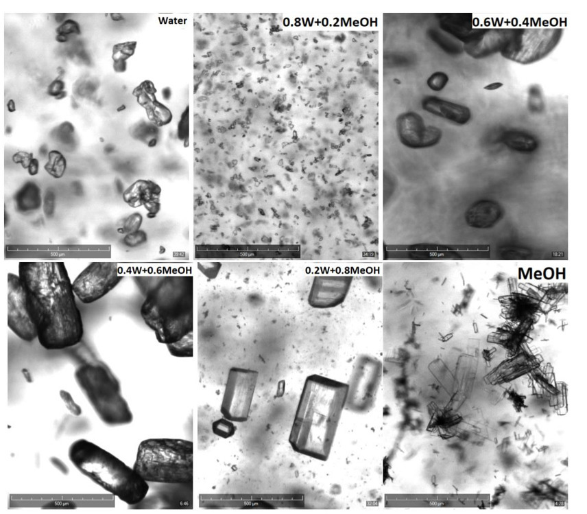 Industrial importance of controlling crystal habit - Technobis ...