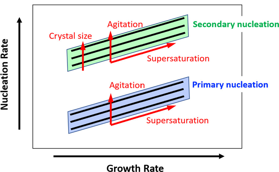 Schematic of crystallization behavior assessment showing expected dependencies of nucleation and growth rates on the supersaturation.