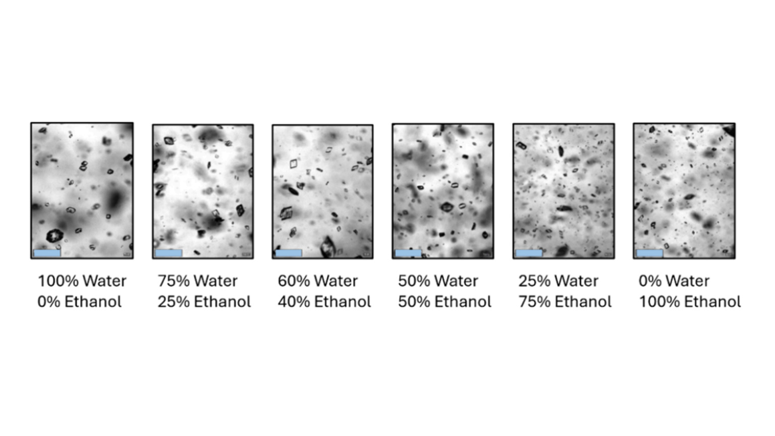 Influence of solvent composition on crystallization kinetics across ...